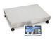 Counting Scale KERN IFS 300K-3