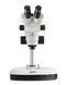 Stereo Zoom Microscope KERN OZM 544