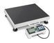 IoT-Line Personal Floor Scale KERN MPN 300K-1LM
