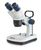 Stereo microscopes